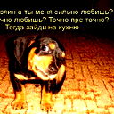 Василий Минкин