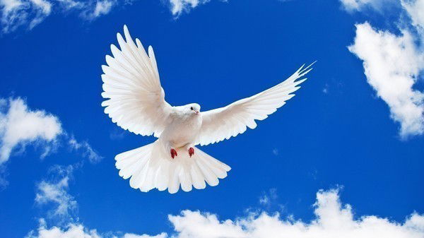 Цонатырау Бухгалтерия