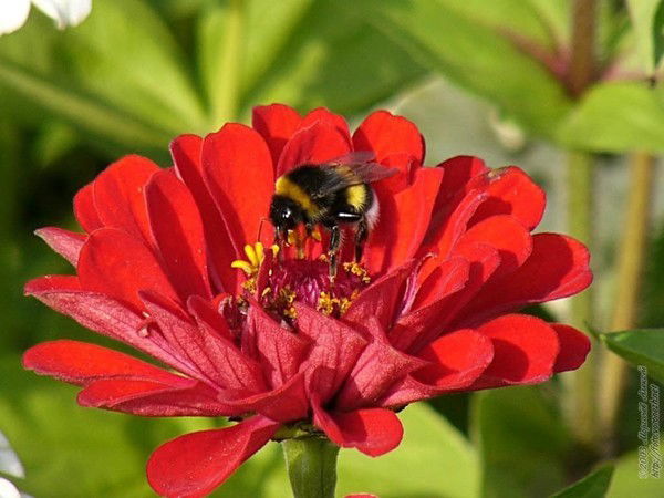 Марина Кочукова