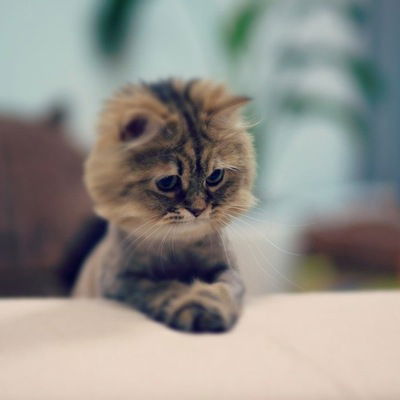 Илья Кузейкин