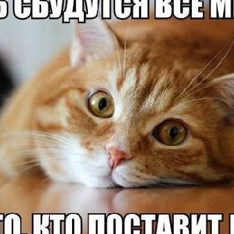 Анита Уржунцева