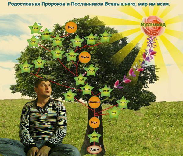 Эльхан Мирзоев