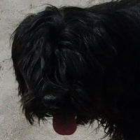 Антон Янцен