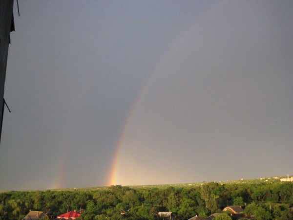 Лариса Соломенникова