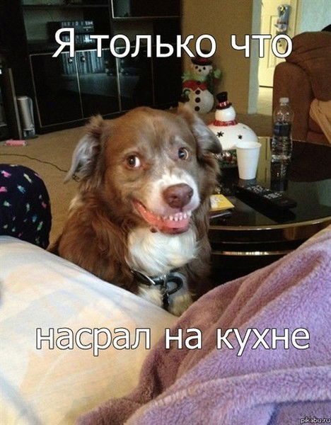 Андрей Курта