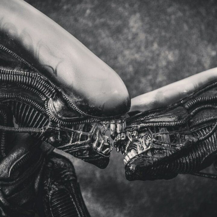 Светлана Светлана