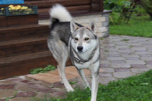 Рукавишников Роман