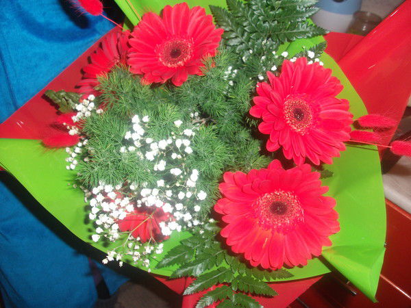 Розалия Карибуллина