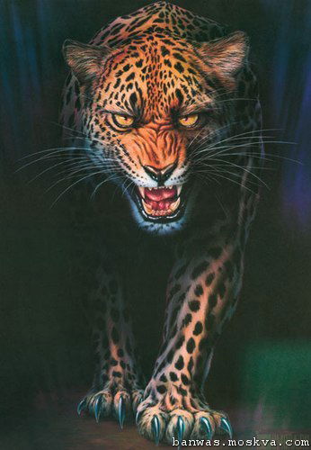 Колян Гниленко