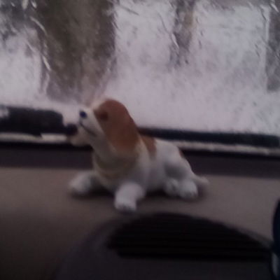 Даша Лукоянова