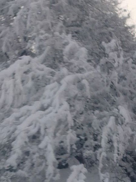 Рамзан Ибрагимов