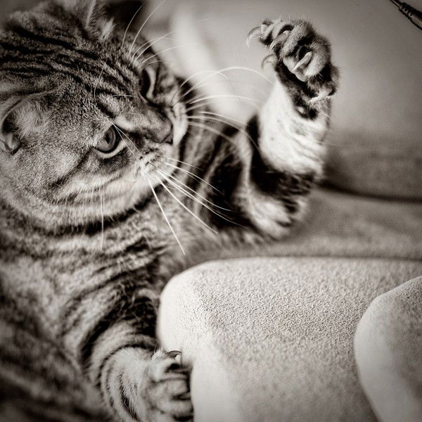 Алексей Барымов