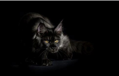 Сергей Лялин