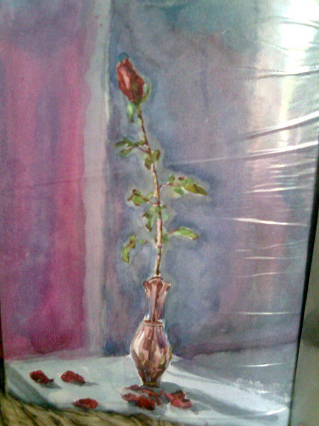 Мээрим Сатымкулова