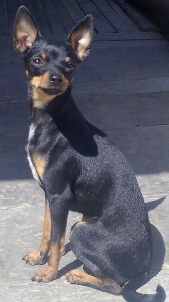 Женя Антонов