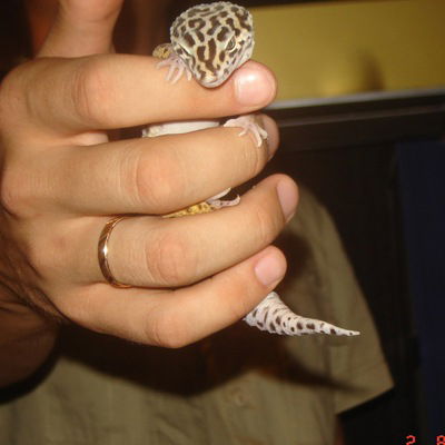 Макс Бахтияров