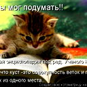 Марат Т