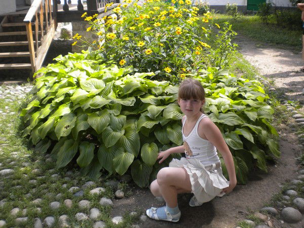 Галина Микитюк