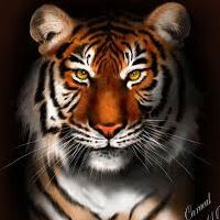 Алекс Тигров