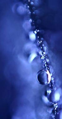 Рита Егорова