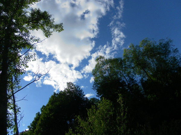 Наталья Карпухина