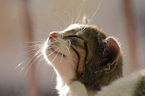 Анастасия Статкевич