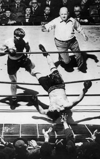 Владимир Разумных