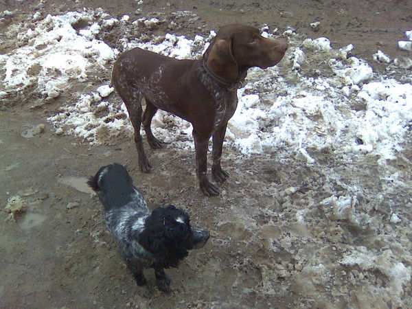 Гульбар Акбулатова