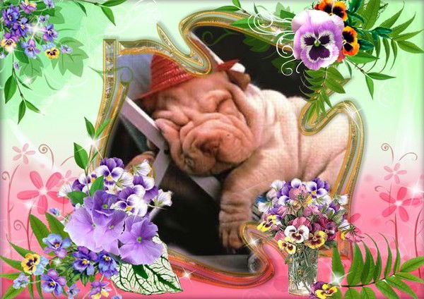 Нина Симаченко