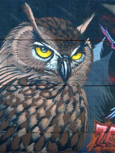 Глеб Рыбакин