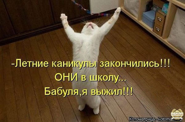 Николай Знаменщиков