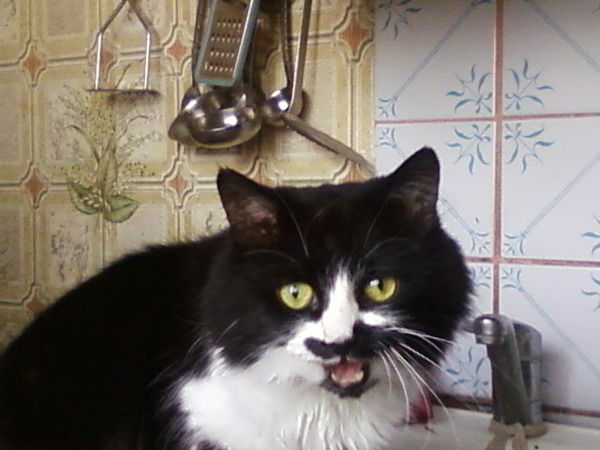 Наталия Мануйлова