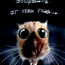 Павел Ш