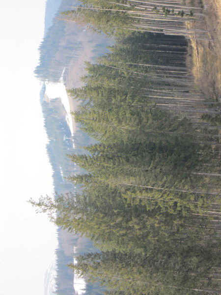 Евгений Евгений