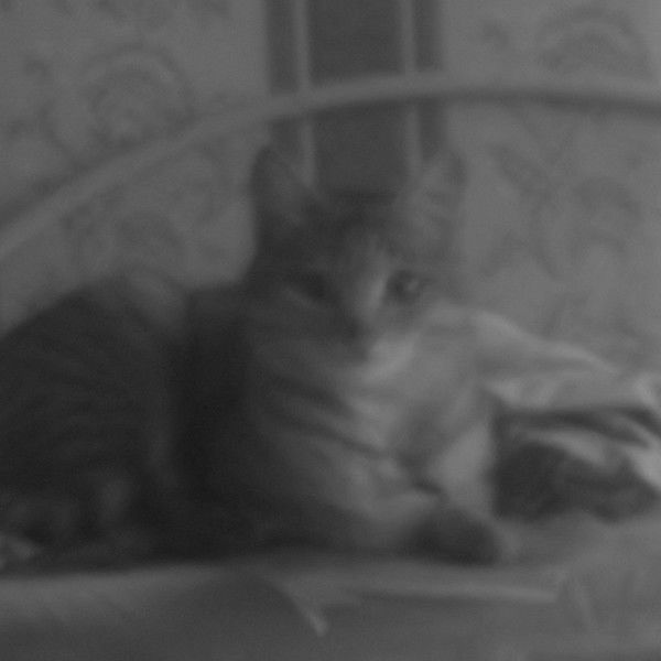 Полина Стругова