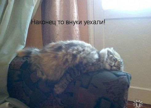 Илья Дейнекин