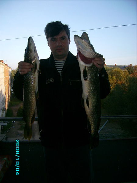 Сергей Васильев