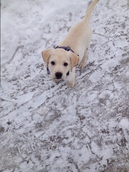 Сергей Дзинвалюк