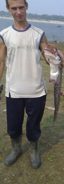 Сергей Елисеев