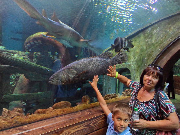 Тамара Догаева