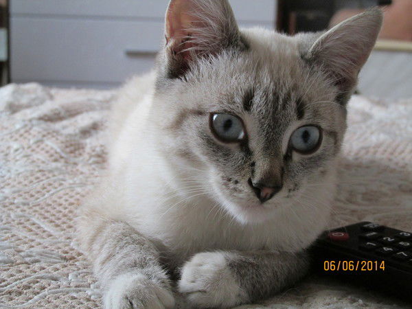 Женя Сумарокова