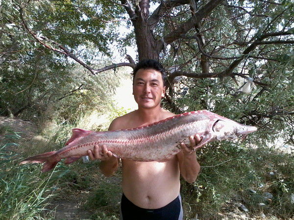 Малик Аминов