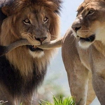 Анна Сюзёва