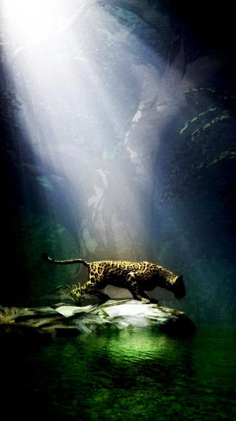 Даниил Пичеконов