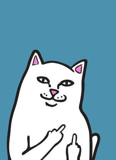 Максим Минеев