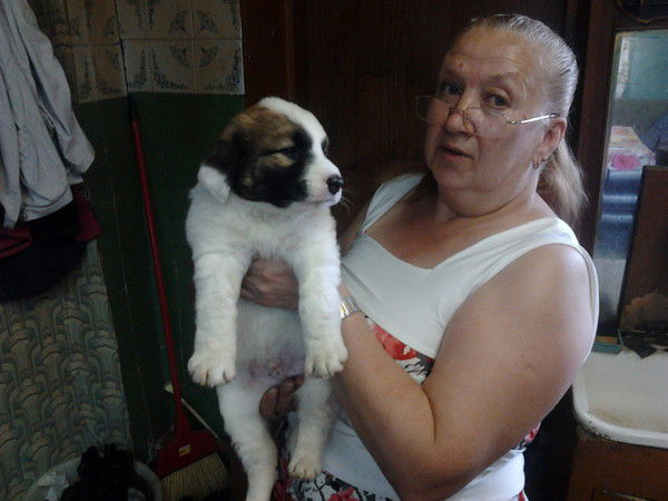 Татьяна Керимова