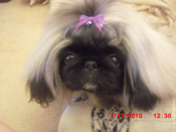 Юлия Орлова