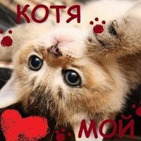 Екатерина Морозова