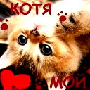 Екатерина Морозова