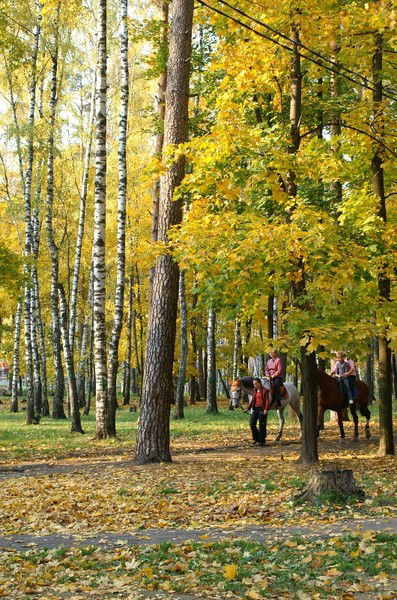 Лена Ипатова